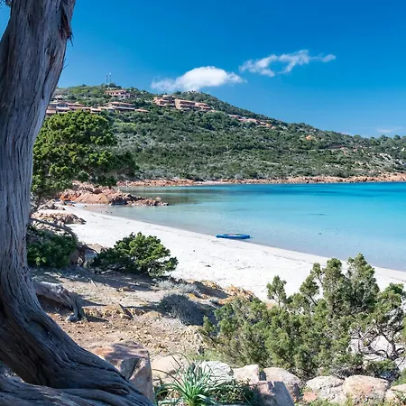 Domo De Maria 招待所